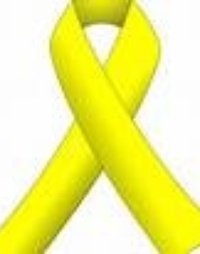 Picture for Yellow Ribbon  package